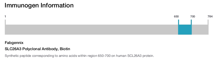 SLC26A3 Polyclonal Antibody, Biotin