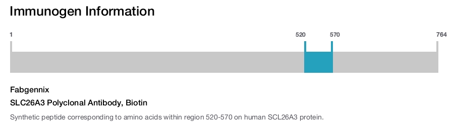 SLC26A3 Polyclonal Antibody, Biotin