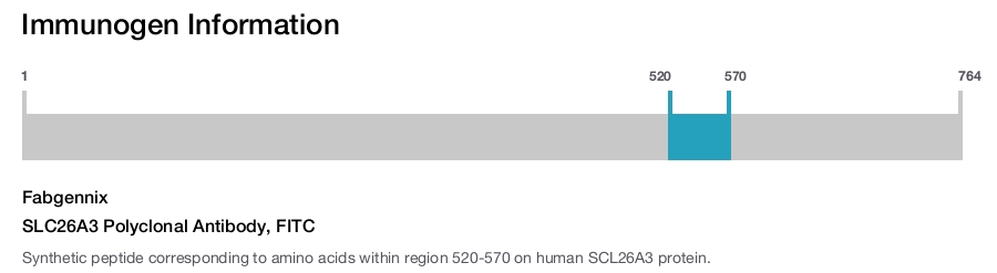 SLC26A3 Polyclonal Antibody, FITC