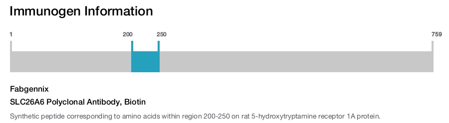 SLC26A6 Polyclonal Antibody, Biotin