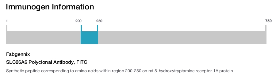 SLC26A6 Polyclonal Antibody, FITC