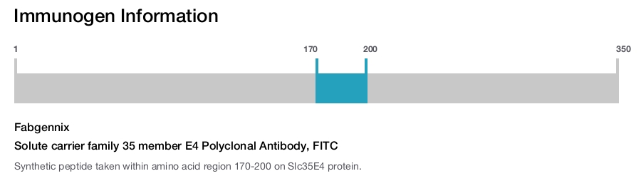 Solute carrier family 35 member E4 Polyclonal Antibody, FITC