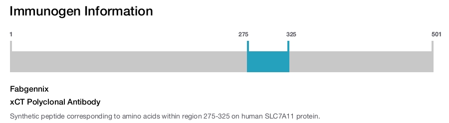xCT Polyclonal Antibody