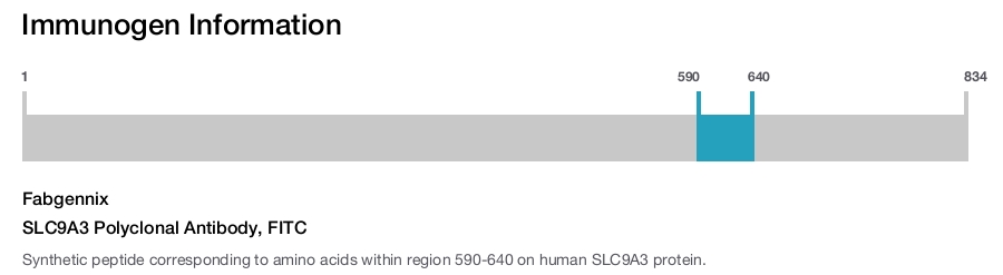 SLC9A3 Polyclonal Antibody, FITC