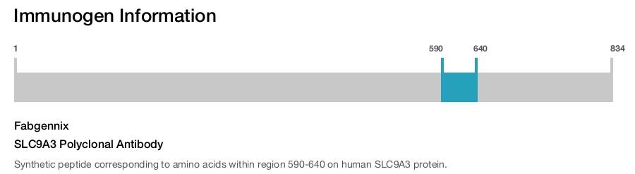 SLC9A3 Polyclonal Antibody