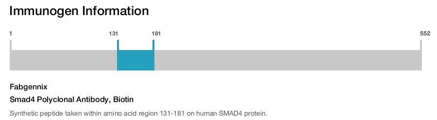 Smad4 Polyclonal Antibody, Biotin