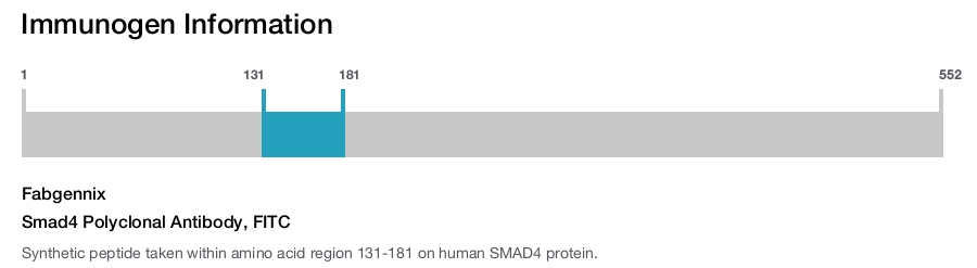 Smad4 Polyclonal Antibody, FITC