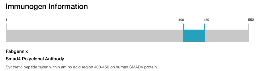 Smad4 Polyclonal Antibody