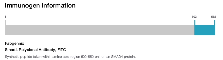 Smad4 Polyclonal Antibody, FITC