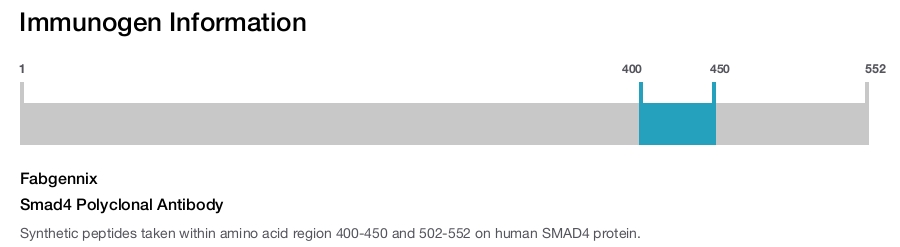 Smad4 Polyclonal Antibody