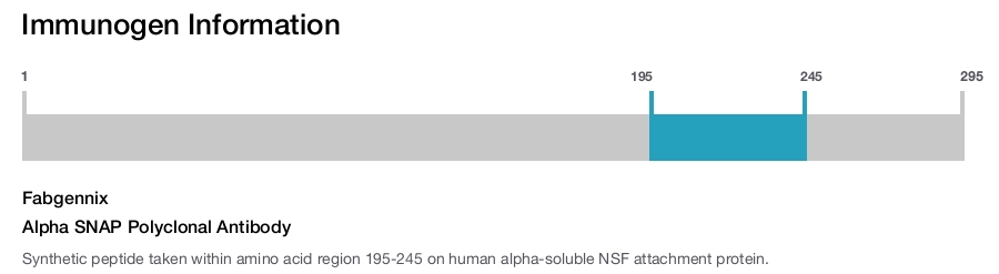 Alpha SNAP Polyclonal Antibody