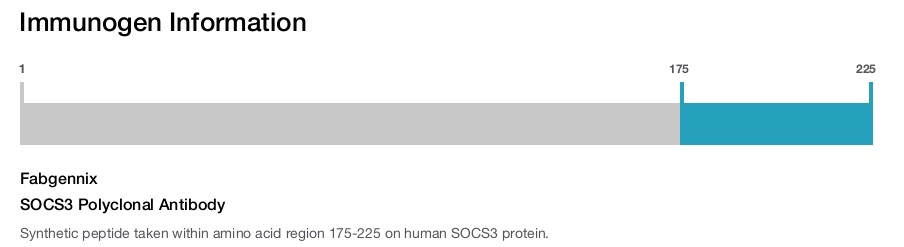 SOCS3 Polyclonal Antibody