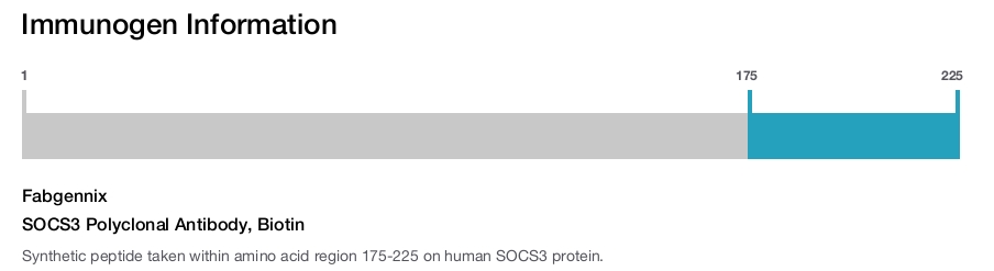SOCS3 Polyclonal Antibody, Biotin