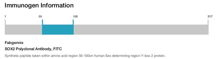 SOX2 Polyclonal Antibody, FITC