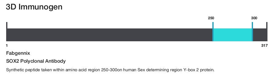 SOX2 Polyclonal Antibody