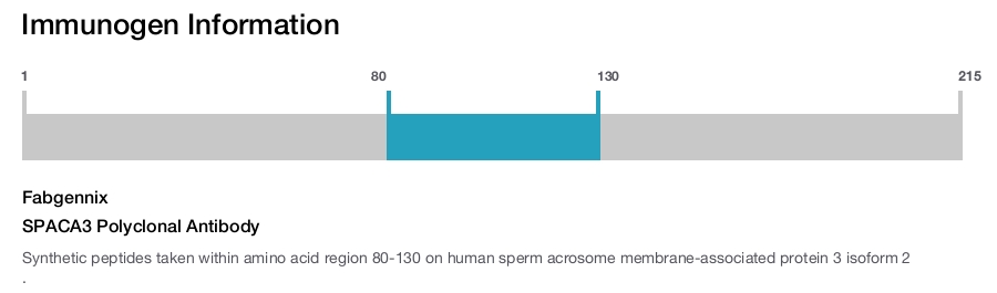 SPACA3 Polyclonal Antibody