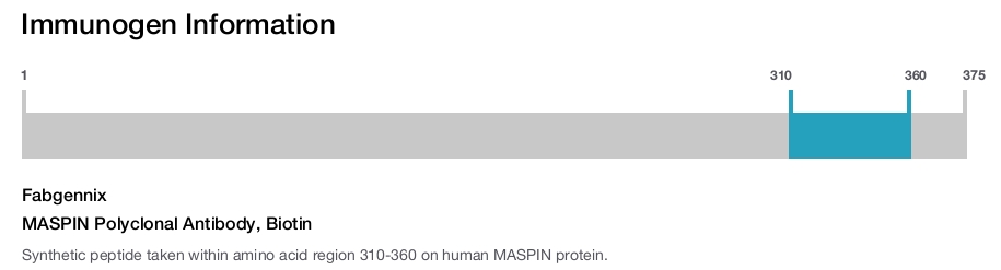 MASPIN Polyclonal Antibody, Biotin