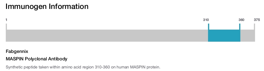 MASPIN Polyclonal Antibody