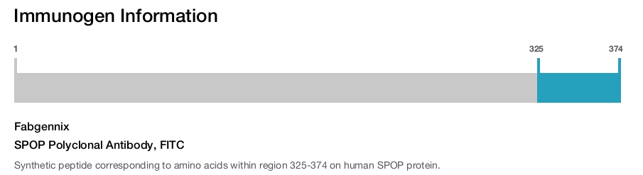 SPOP Polyclonal Antibody, FITC