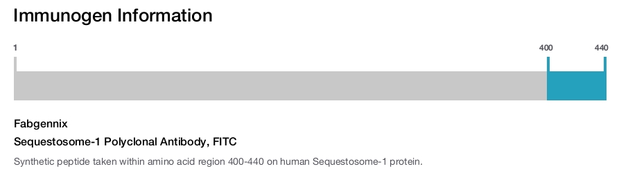 Sequestosome-1 Polyclonal Antibody, FITC