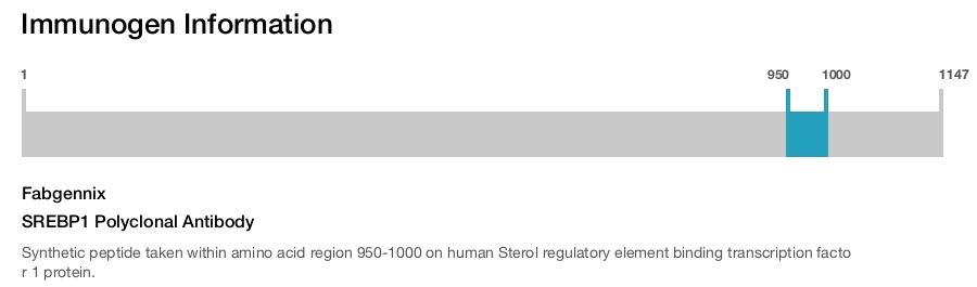 SREBP1 Polyclonal Antibody