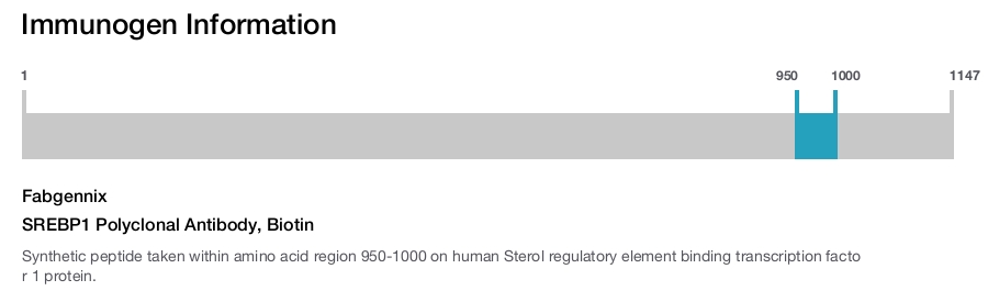 SREBP1 Polyclonal Antibody, Biotin
