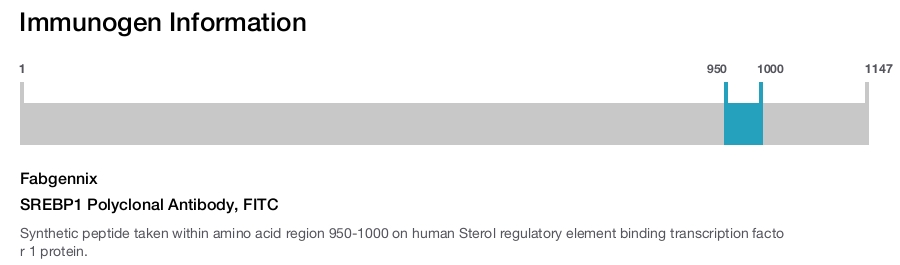 SREBP1 Polyclonal Antibody, FITC