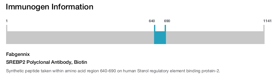 SREBP2 Polyclonal Antibody, Biotin
