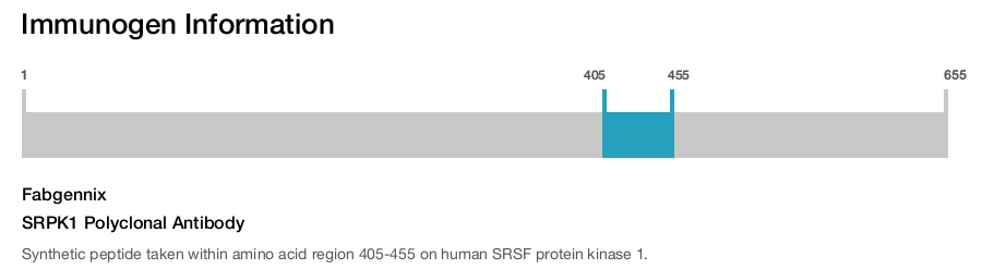 SRPK1 Polyclonal Antibody