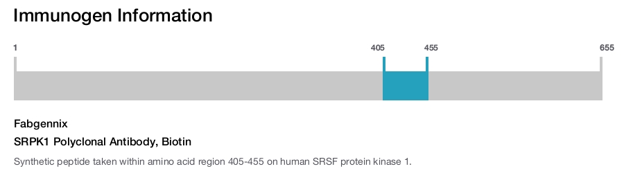 SRPK1 Polyclonal Antibody, Biotin