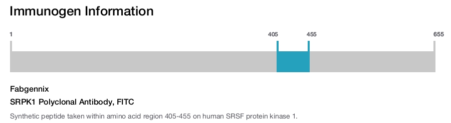 SRPK1 Polyclonal Antibody, FITC