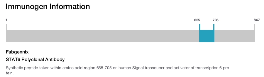 STAT6 Polyclonal Antibody