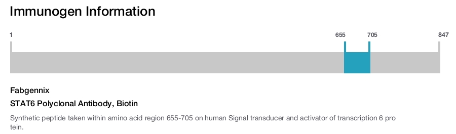 STAT6 Polyclonal Antibody, Biotin