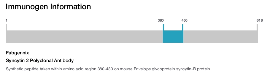 Syncytin 2 Polyclonal Antibody