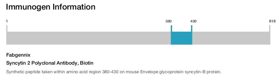 Syncytin 2 Polyclonal Antibody, Biotin