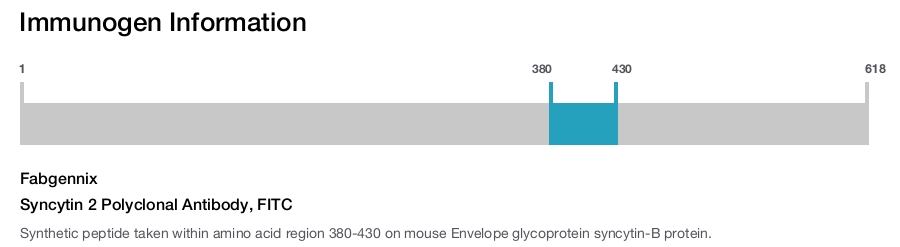 Syncytin 2 Polyclonal Antibody, FITC