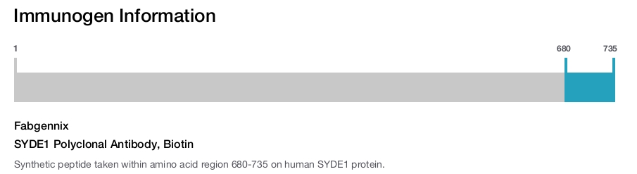 SYDE1 Polyclonal Antibody, Biotin