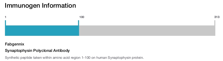 Synaptophysin Polyclonal Antibody
