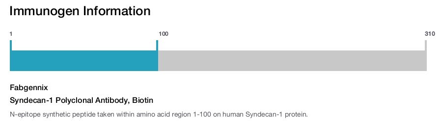 Syndecan-1 Polyclonal Antibody, Biotin