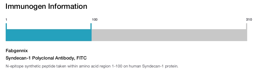 Syndecan-1 Polyclonal Antibody, FITC