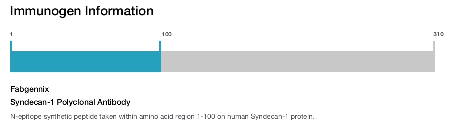 Syndecan-1 Polyclonal Antibody