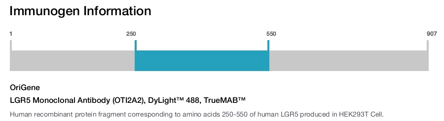 LGR5 Monoclonal Antibody (OTI2A2), DyLight™ 488, TrueMAB™