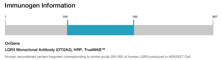 LGR5 Monoclonal Antibody (OTI2A2), HRP, TrueMAB™