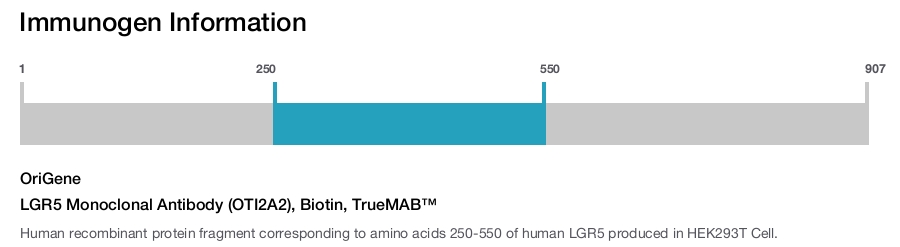 LGR5 Monoclonal Antibody (OTI2A2), Biotin, TrueMAB™