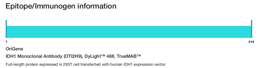 IDH1 Monoclonal Antibody (OTI2H9), DyLight&trade; 488, TrueMAB&trade;