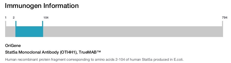 Stat5a Monoclonal Antibody (OTI4H1), TrueMAB™