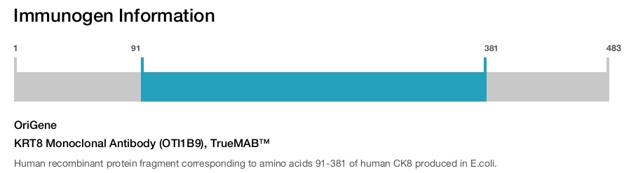 KRT8 Monoclonal Antibody (OTI1B9), TrueMAB&trade;