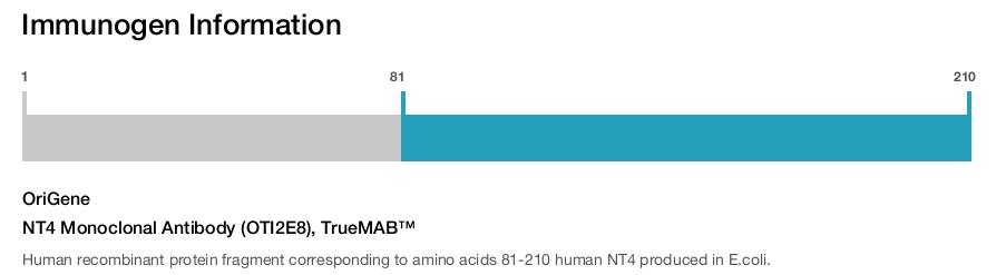 NT4 Monoclonal Antibody (OTI2E8), TrueMAB&trade;