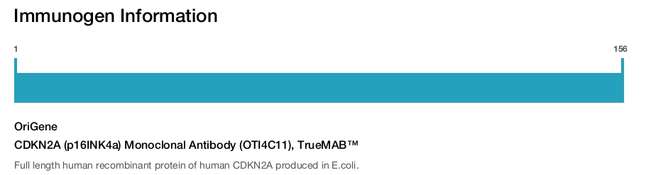 CDKN2A (p16INK4a) Monoclonal Antibody (OTI4C11), TrueMAB&trade;