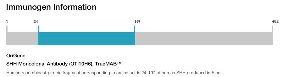 SHH Monoclonal Antibody (OTI10H6), TrueMAB&trade;